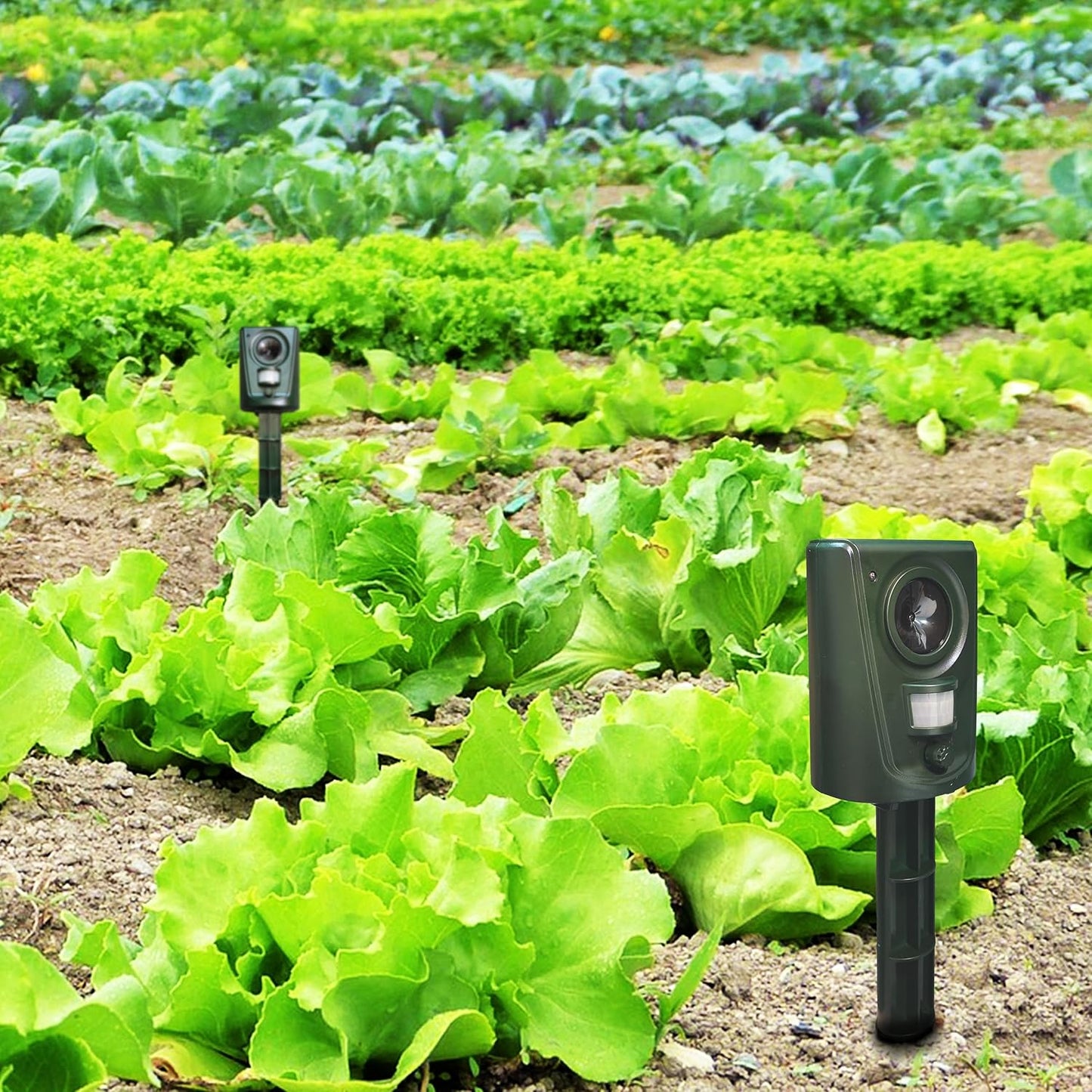 Répulsif Chat Extérieur Radical Ultrason à Pile