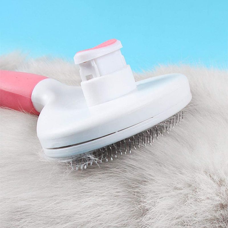 Brosse pour Chat Poil Long