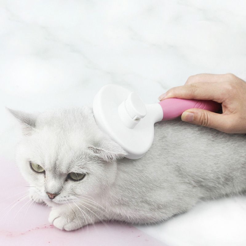 Brosse pour Chat Poil Long