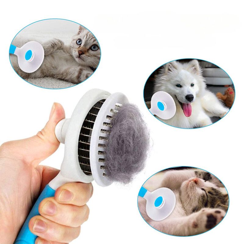 Brosse pour Chat Poil Long