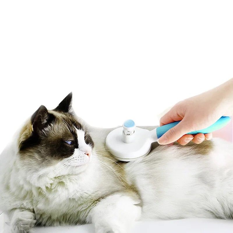 Brosse pour Chat Poil Long