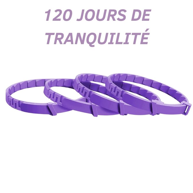 Collier Anti Stress pour Chat