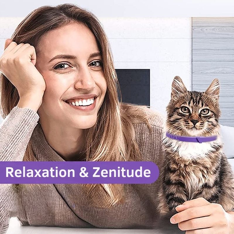 Collier Anti Stress pour Chat