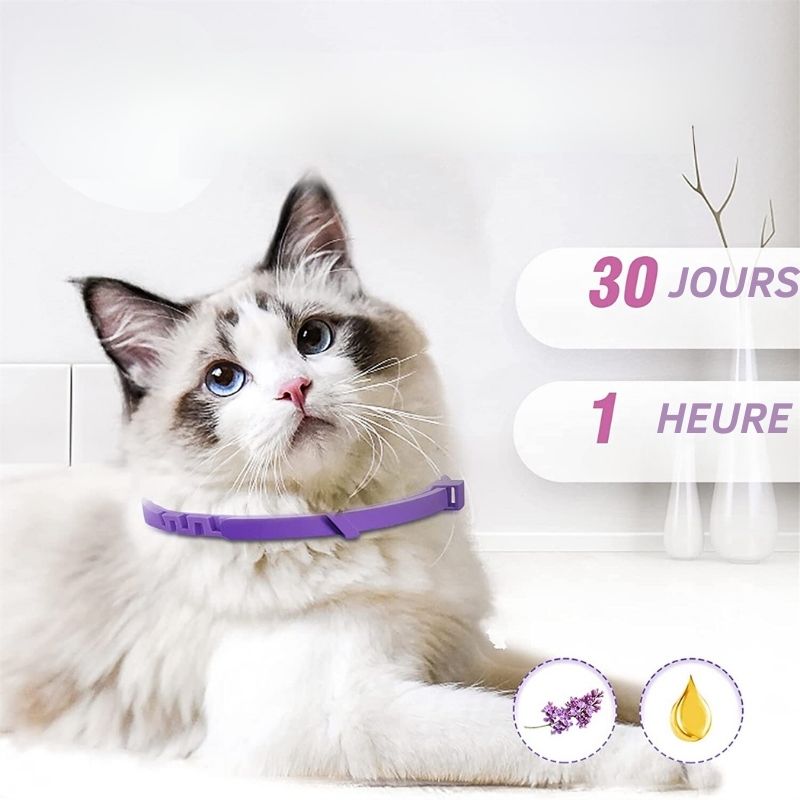 Collier Anti Stress pour Chat