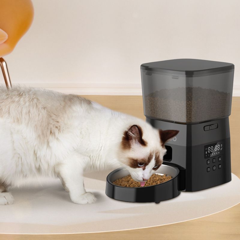 Distributeur de Croquettes pour Chat Intelligent
