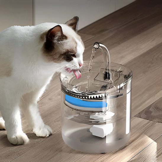 Fontaine à eau pour chat avec détecteur de mouvement transparente