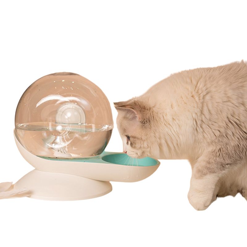 Fontaine à Eau pour Chat Design Escargot