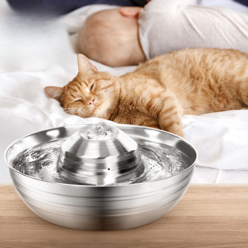 Fontaine à Eau pour Chat Inoxydable