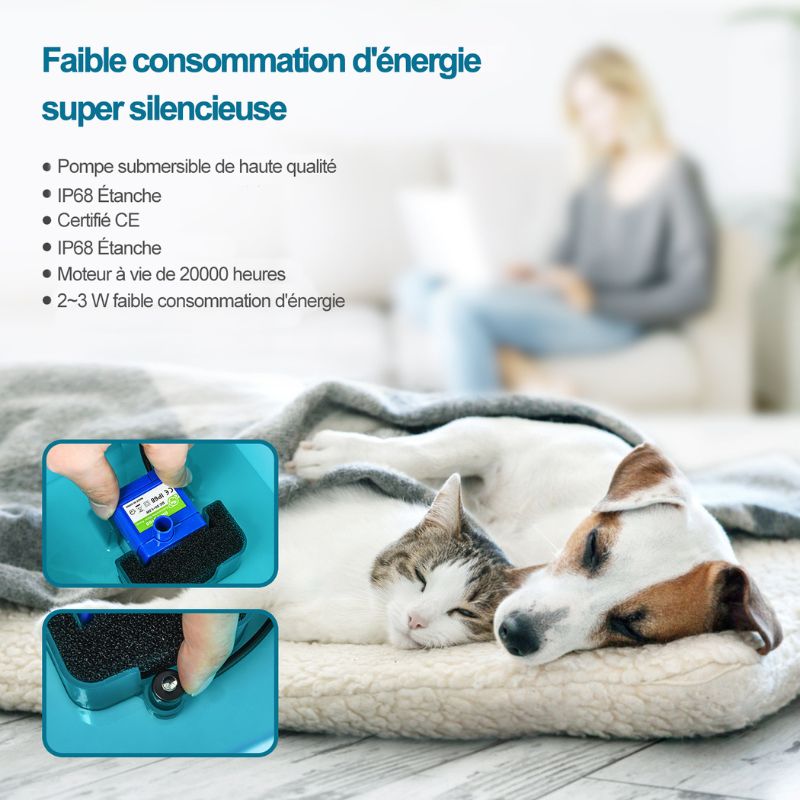 Fontaine à Eau pour Chat Silencieuse Détecteur de Mouvement