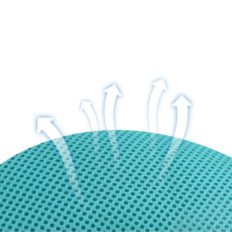 Harnais Chat Anti-fugue avec Laisse