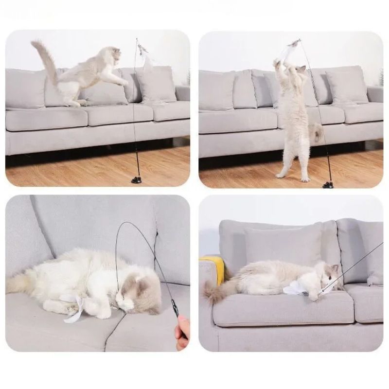 Jouets pour Chats d'Appartement