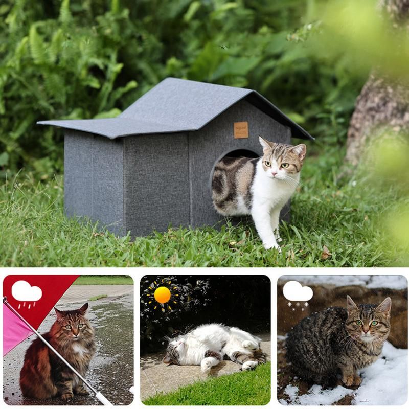 Niche extérieur pour Chat