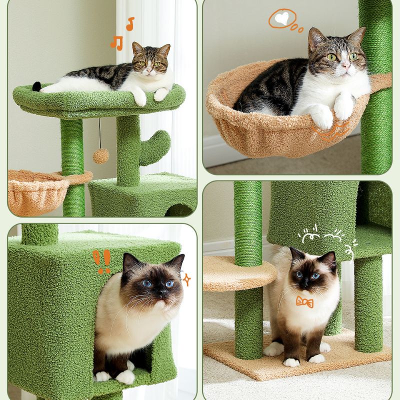 Arbre à chat large design cactus