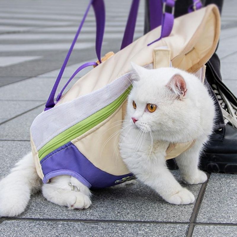 Porte Chat