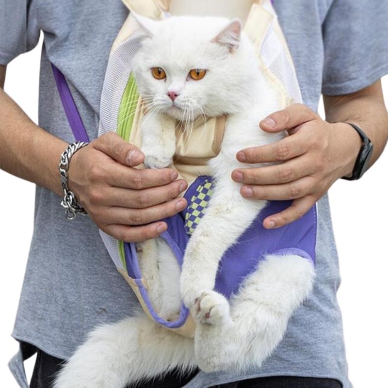 Porte Chat