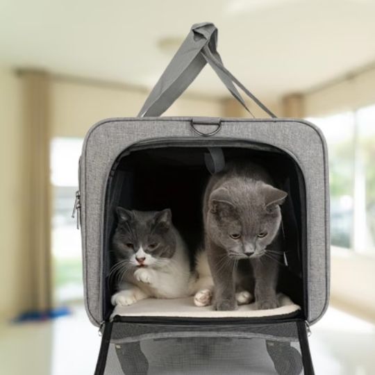 Sac de Transport à Roulettes pour Chat Extra-large Pliant