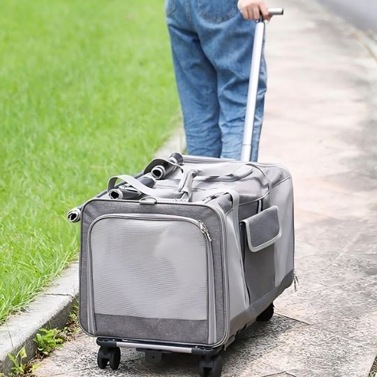 Sac de Transport à Roulettes pour Chat Extra-large Pliant