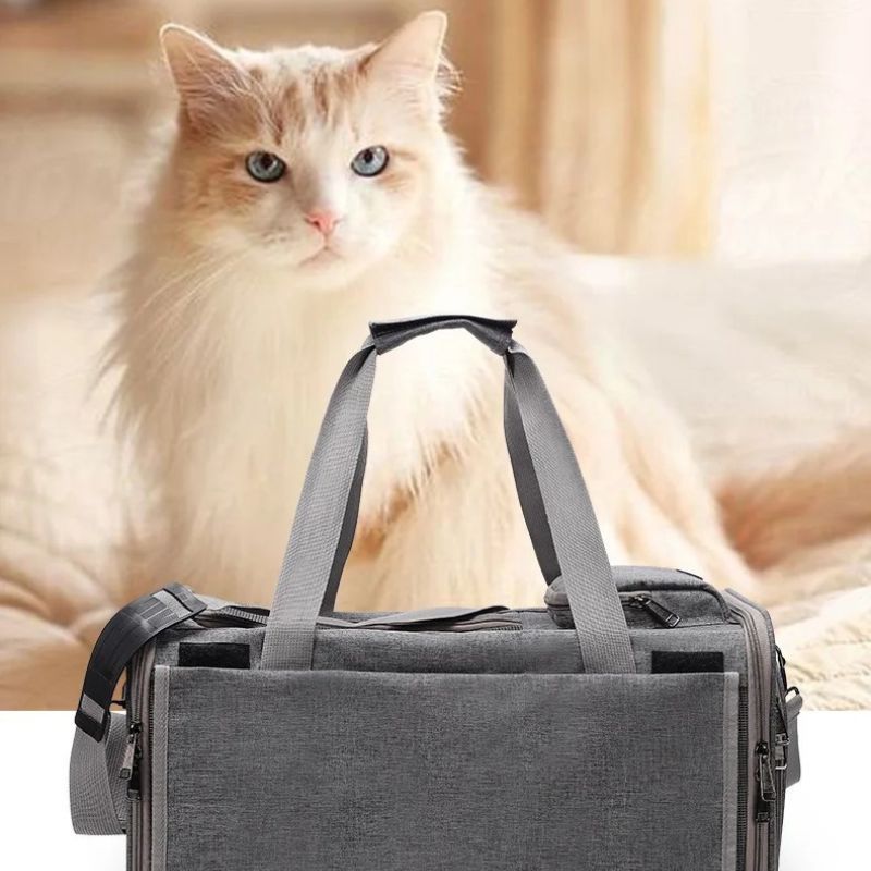 Sac Transport Chat Bandoulière