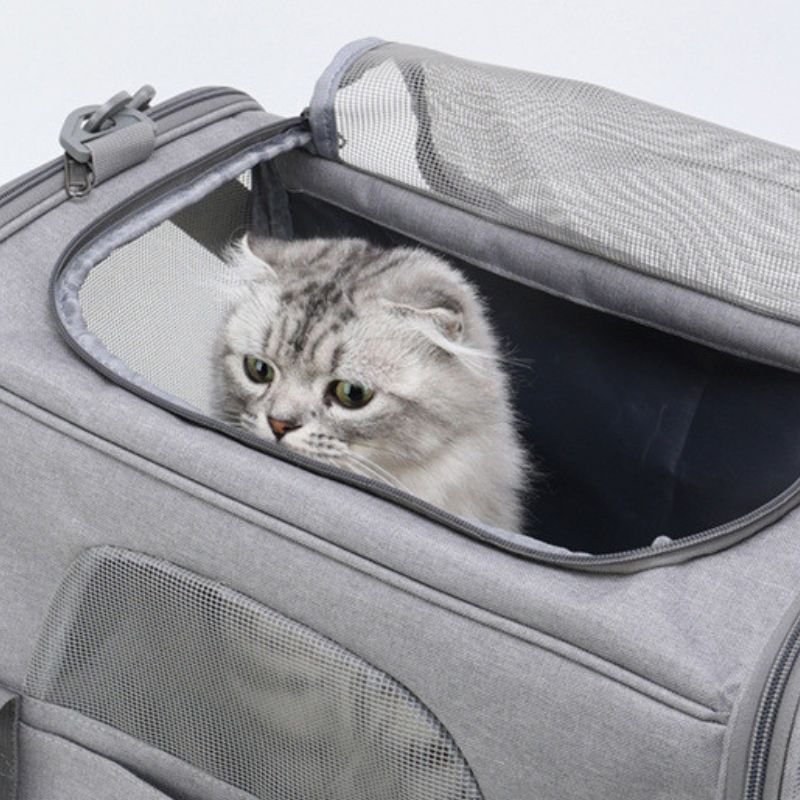 Sac pour Transporter Chat