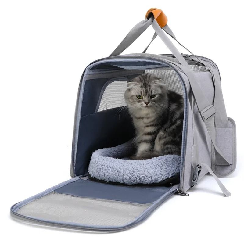Sac pour Transporter Chat