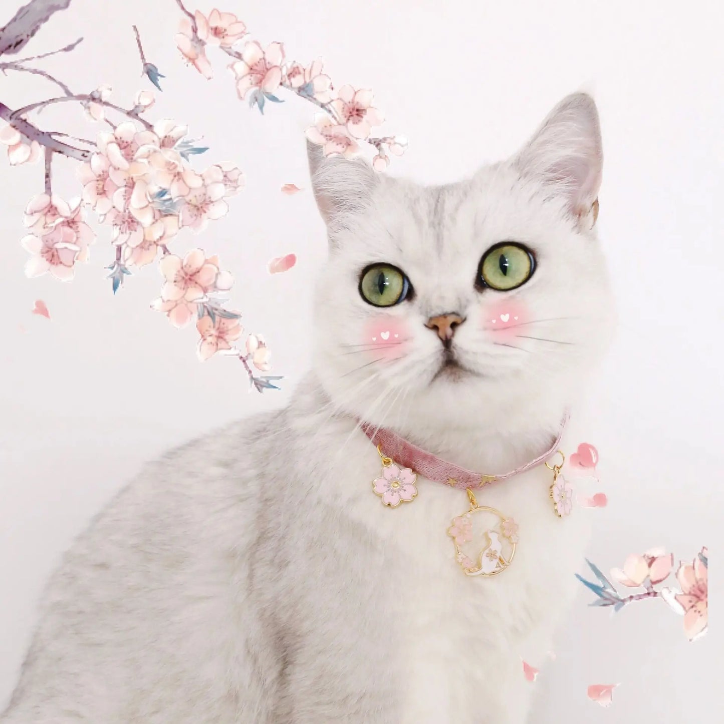 Collier pour Chat Mignon avec Pendentifs