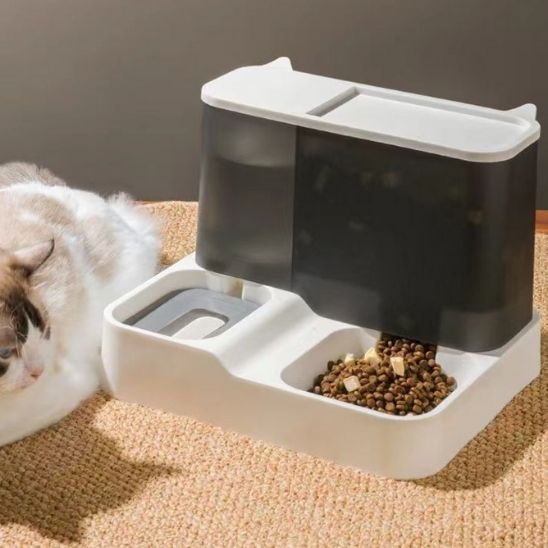 Distributeur de croquettes pour chat avec réserve d'eau intégrée capacité 1L