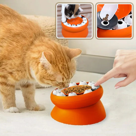 Distributeur de croquettes pour chat interactif