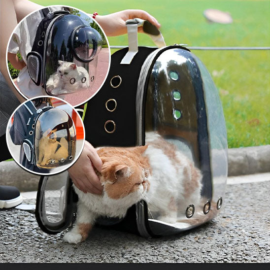 Sac à dos pour chat hublot