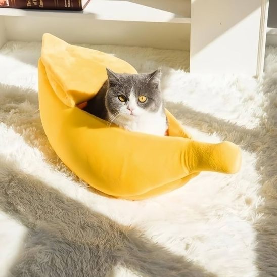 panier-chat-banane-cachette