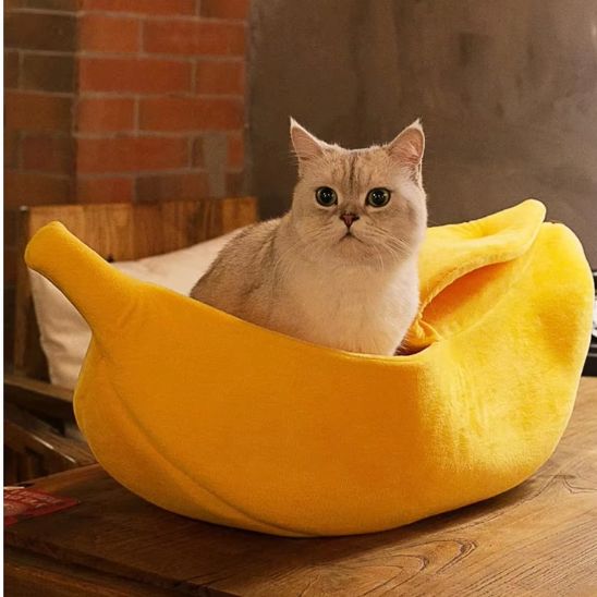 panier-chat-banane-cute