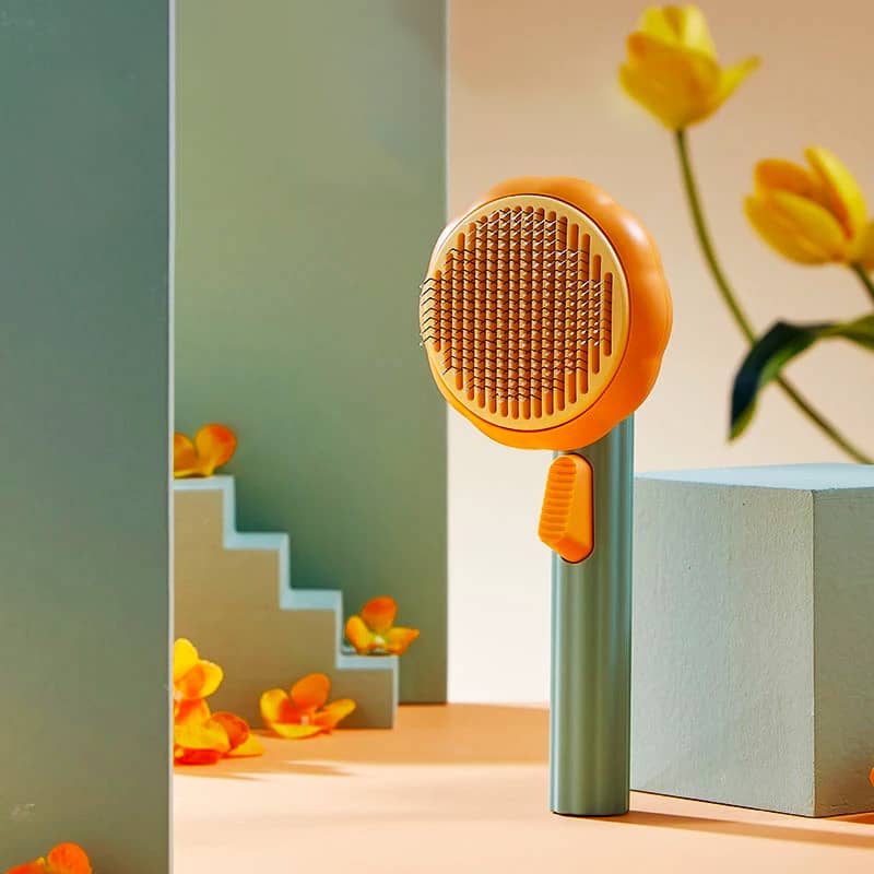 Brosse pour chat en forme de citrouille
