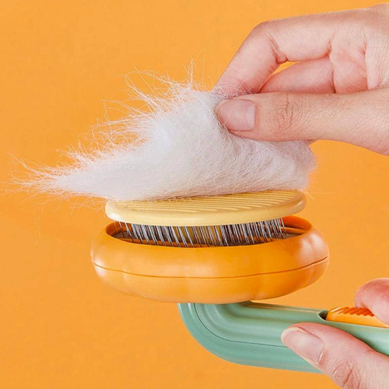 Brosse pour chat en forme de citrouille