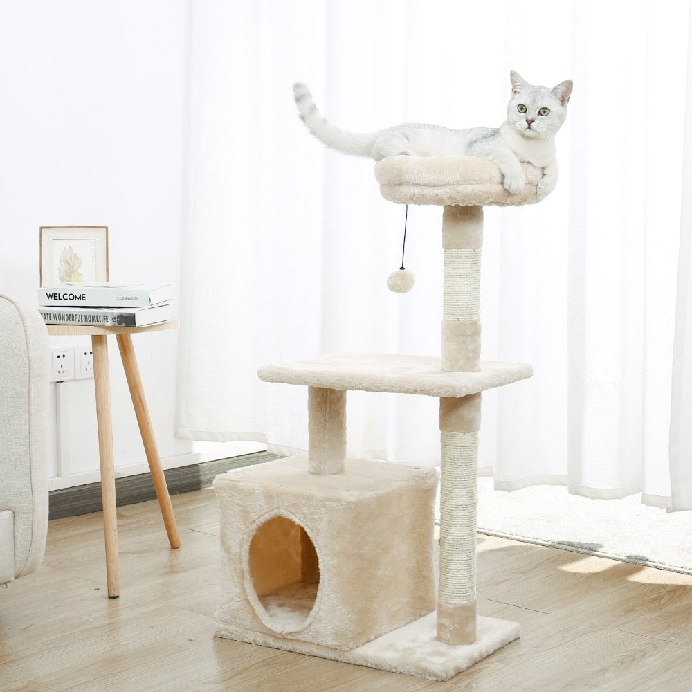 Arbre-a-chat-grotte