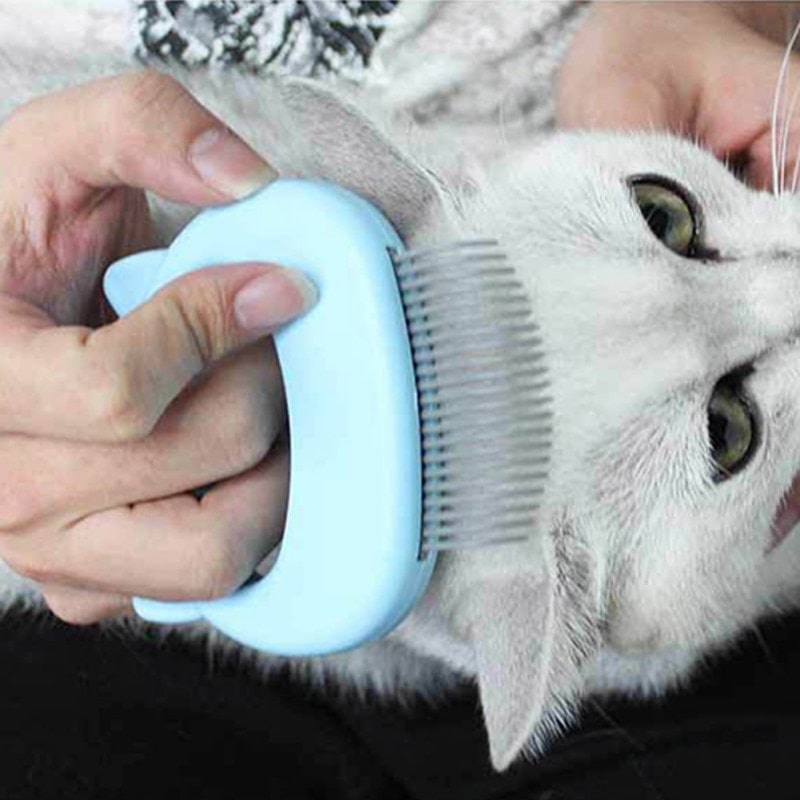 Brosse Pour Chat Massante