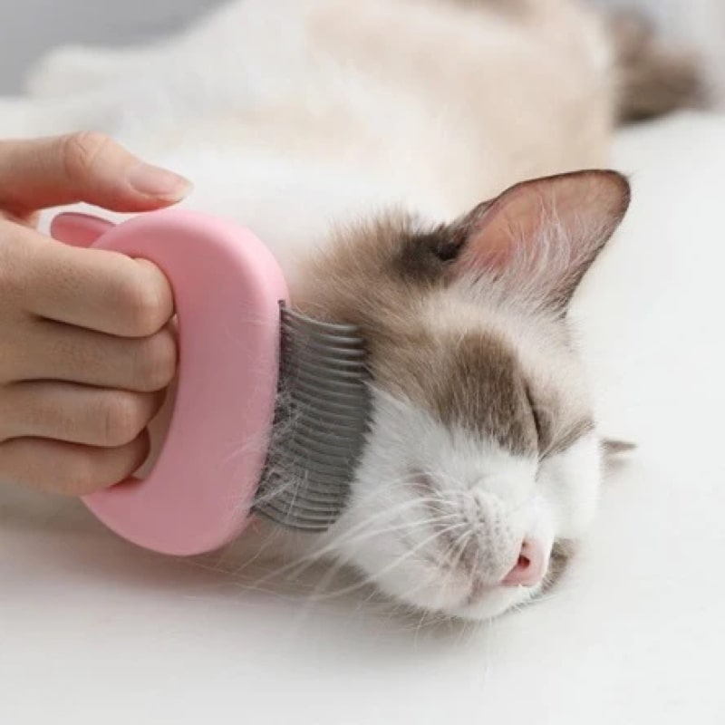 CleanCat™ Brosse Pour Chats et Chatons aux Poils Longs et Courts