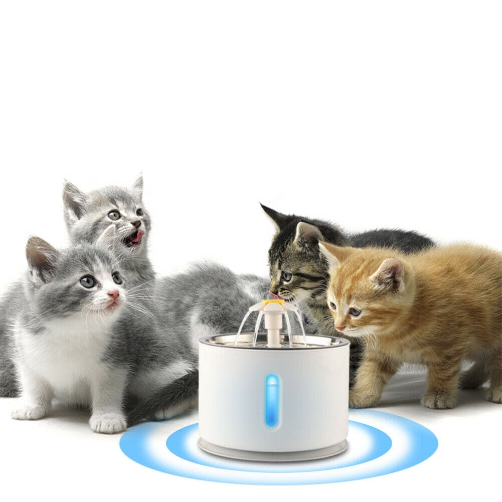 Fontaine Ă Eau Fraiche Pour Chat et Chaton