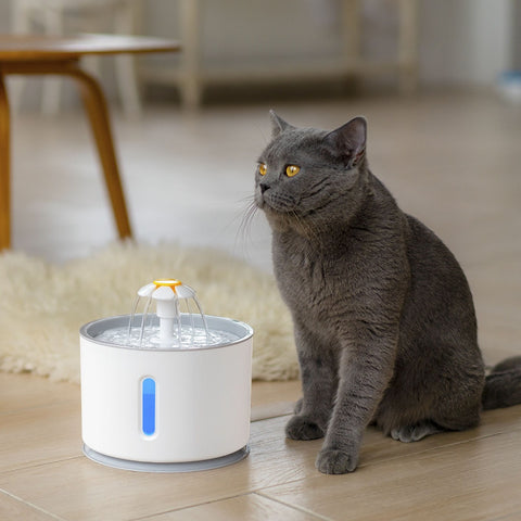 Fontaine à eau pour chat pâquerette