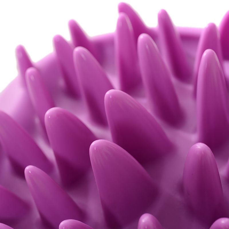 Gamelle Chat Anti-Glouton