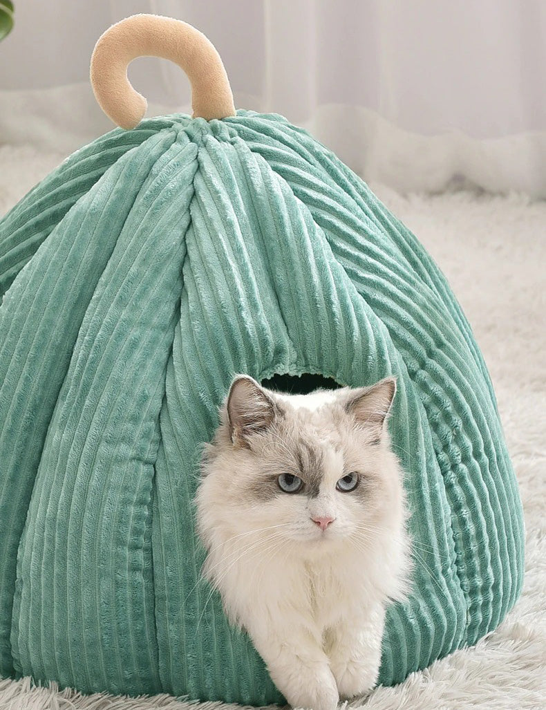 Grotte pour chat avocat