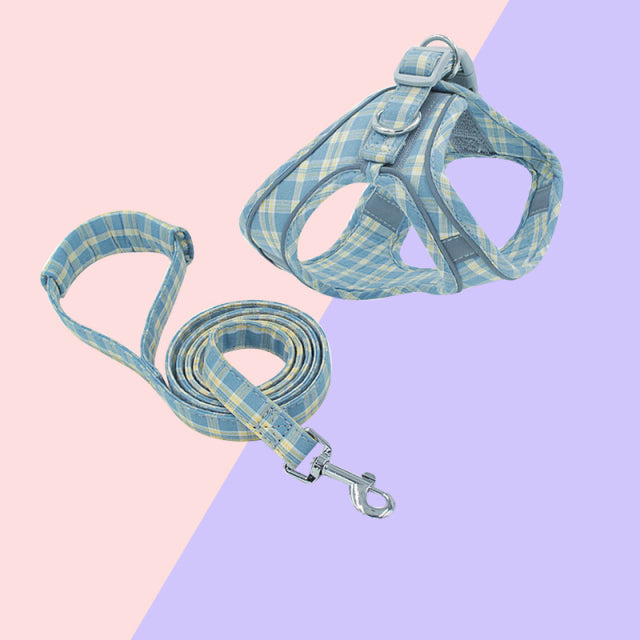 Harnais pour chat écossais