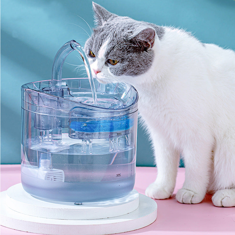Fontaine à eau transparent pour chat