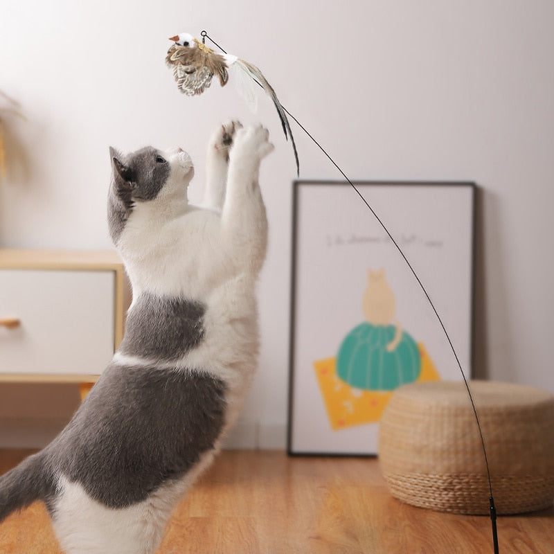 Jouet Chat Interactif Oiseau