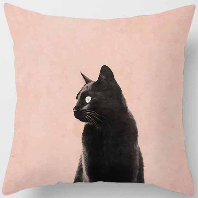 Coussin chat carré
