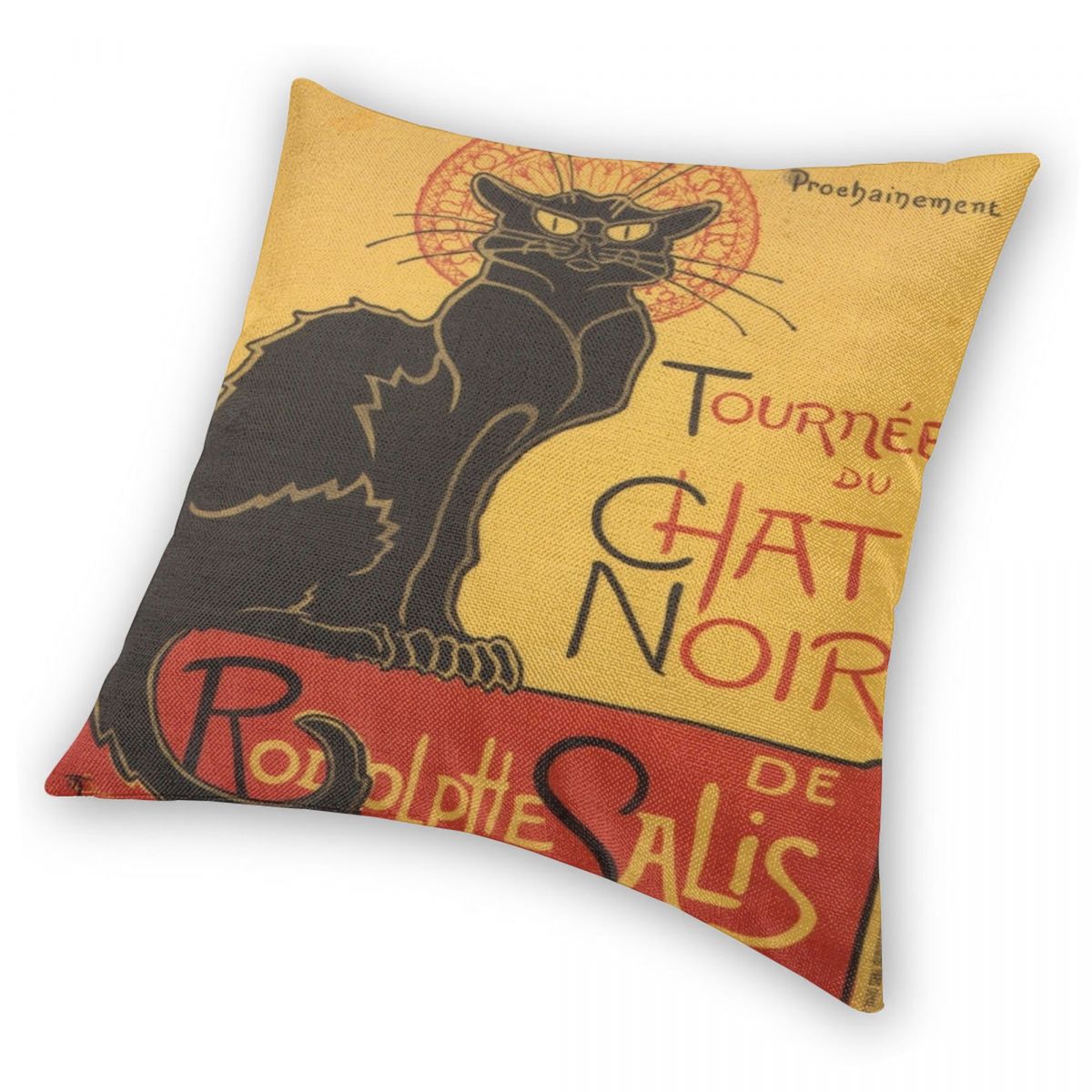 Coussin chat tournée du chat noir