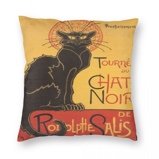Coussin chat tournée du chat noir