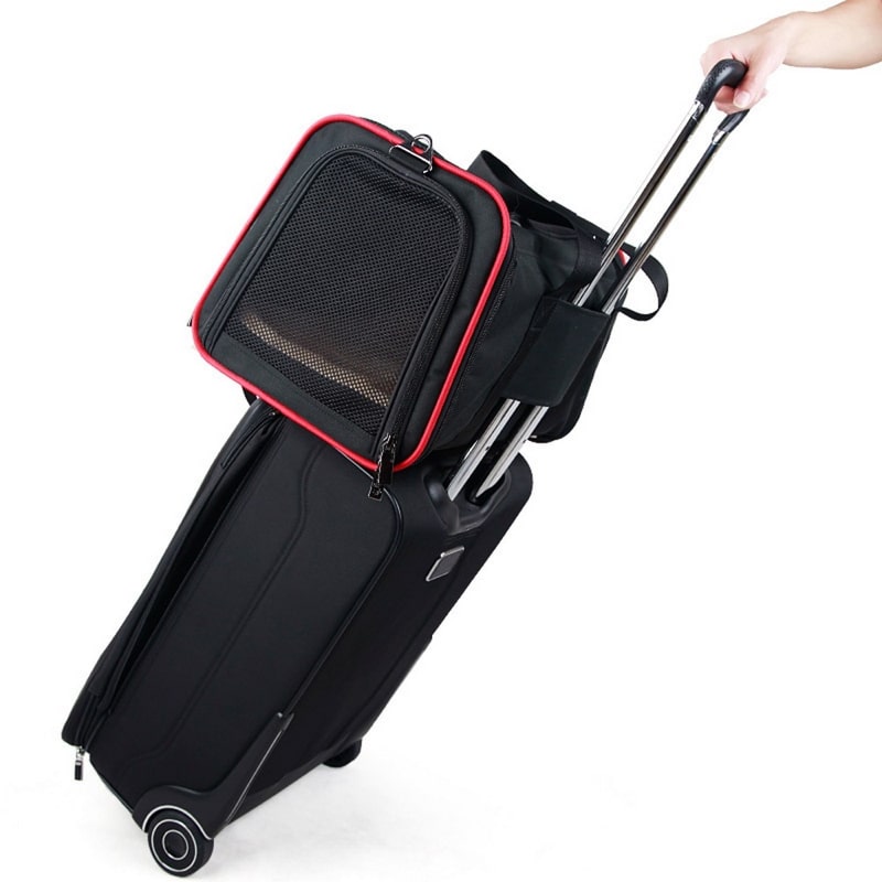 Sac Pour Transporter Chat Avion