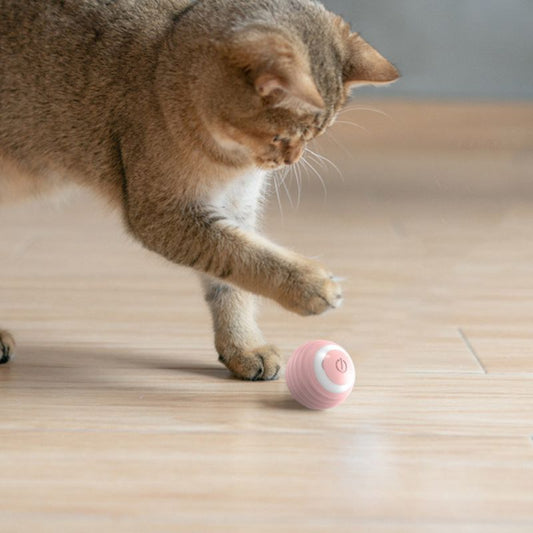 Balle pour Chat Interactive