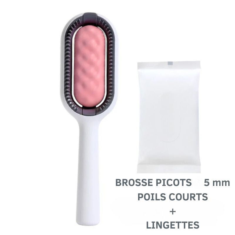 Brosse Poil court de Chat Double Face