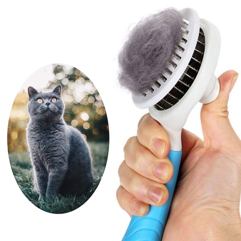 Brosse pour Chat Poil Long