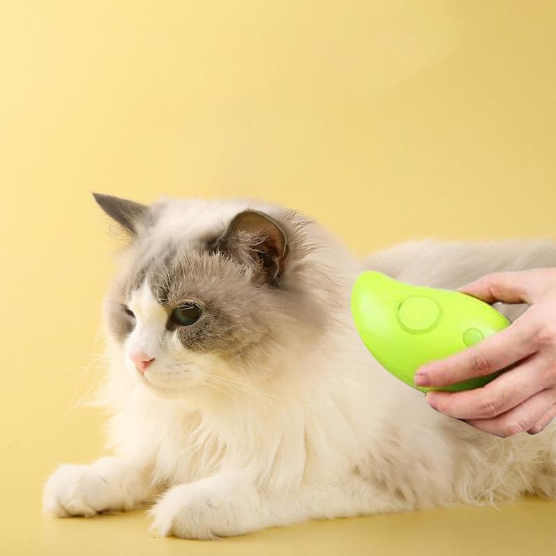 Brosse à Vapeur pour Chat